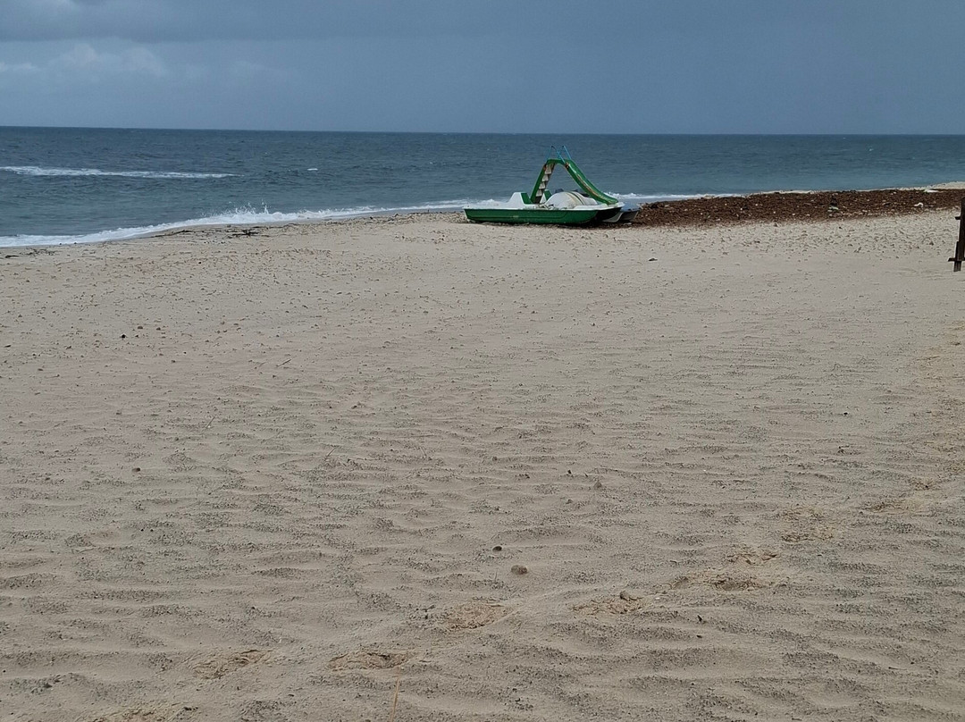 Port El Kantaoui Beach-康大维港必去景点