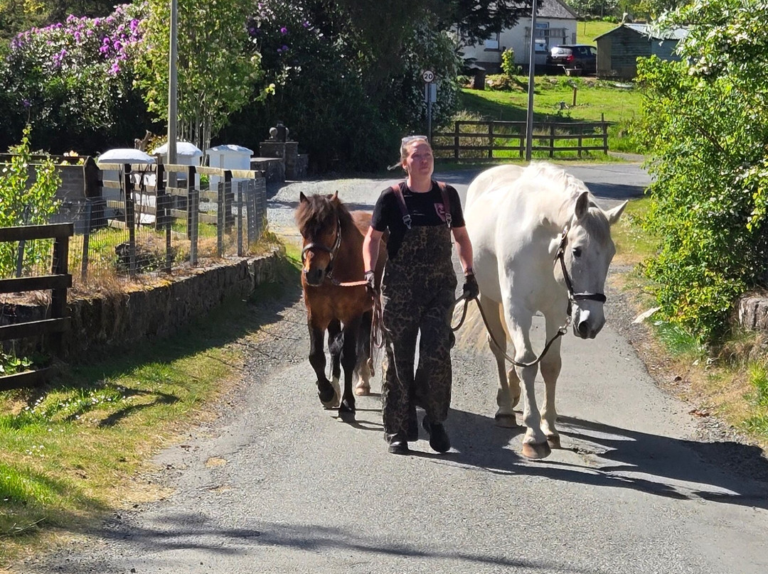 Owlswood And Owls Nest apartments主图