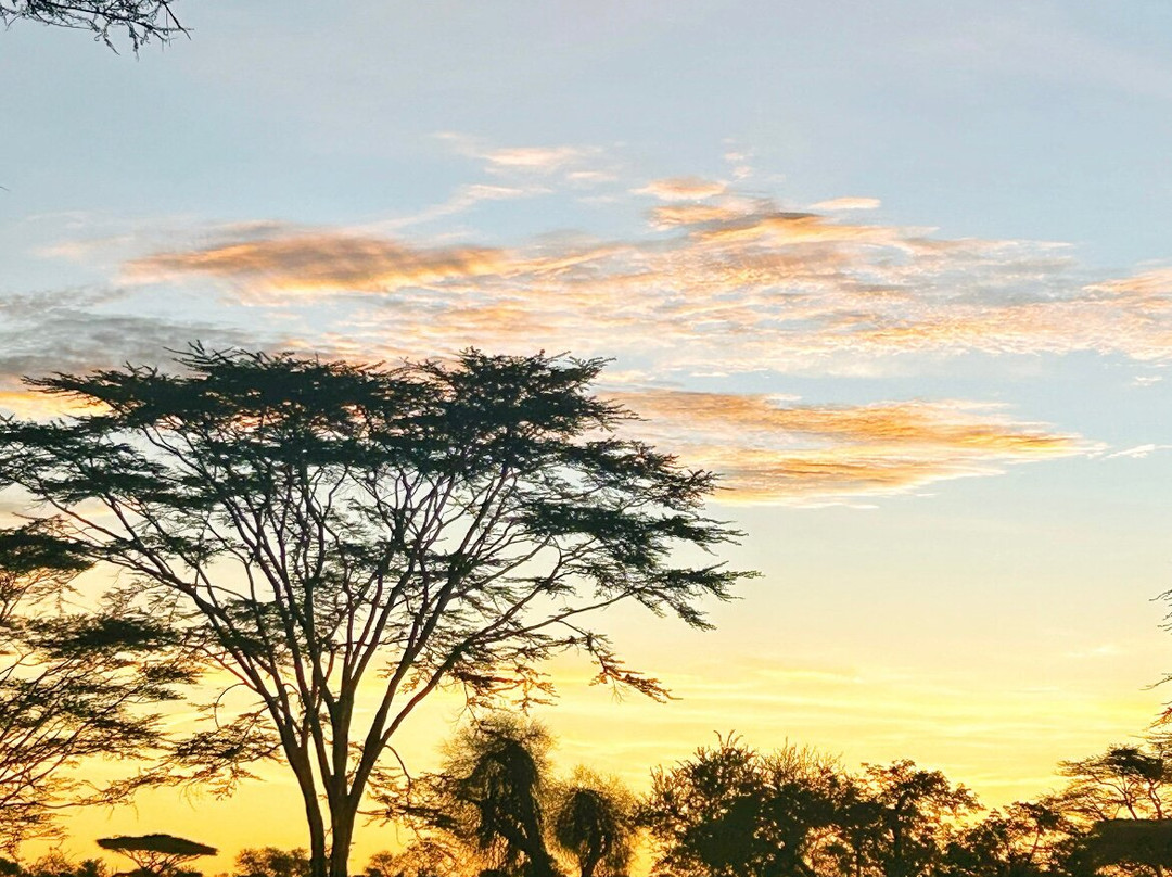 One-way Tours and Safaris-姆万扎必去景点