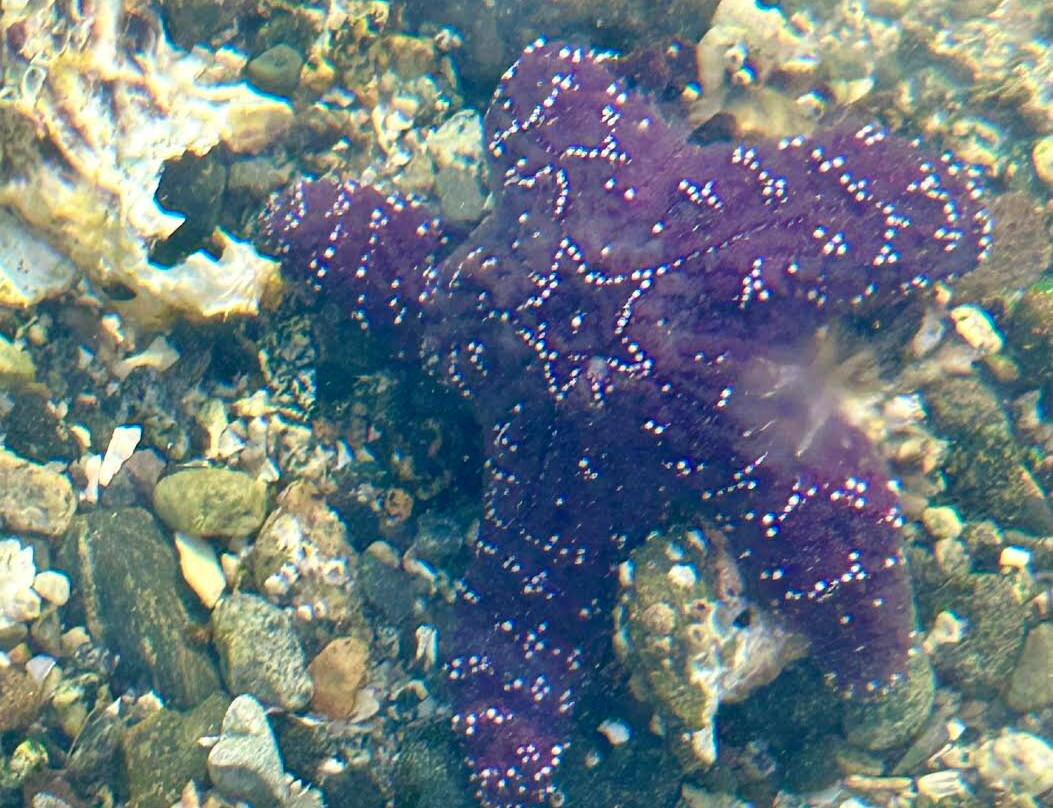 Mansons Landing Provincial Park-Mansons Landing必去景点