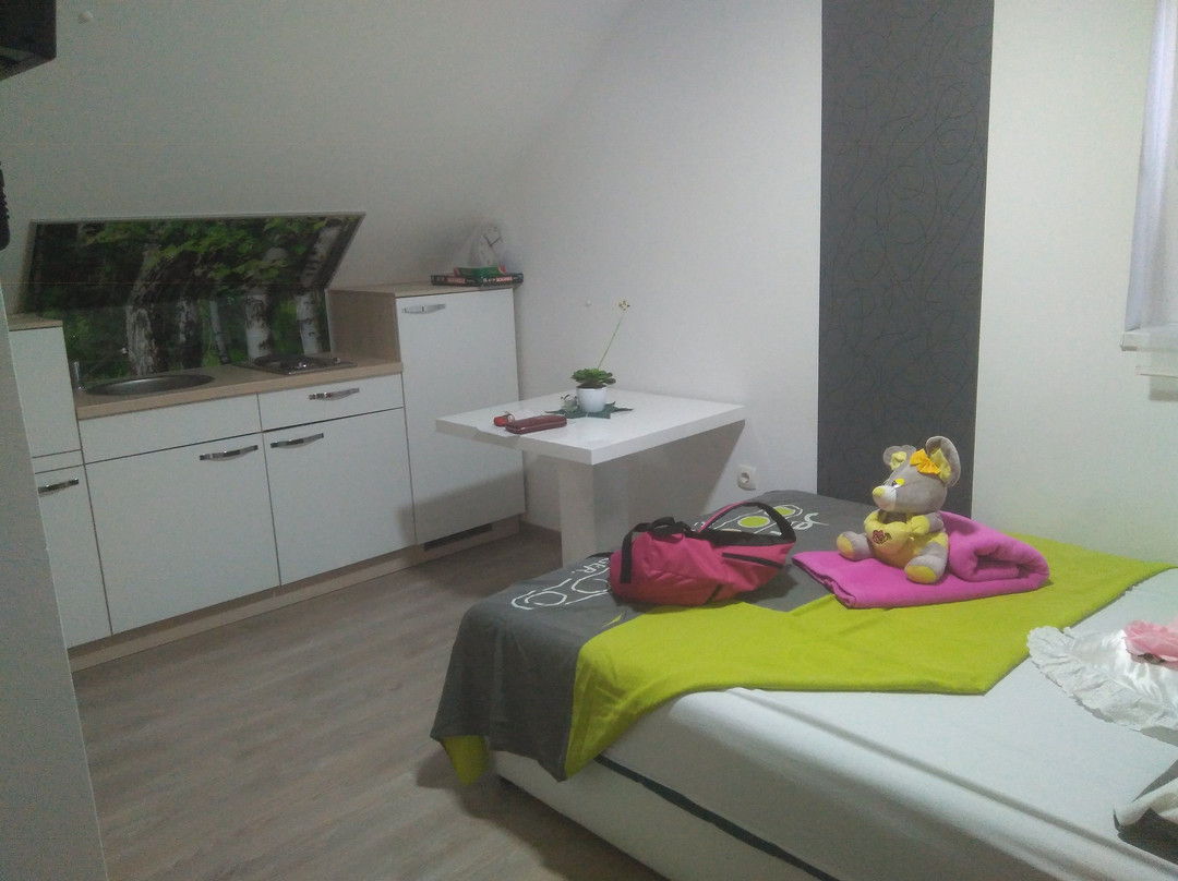 Guesthouse Turisticna kmetija Sirec主图