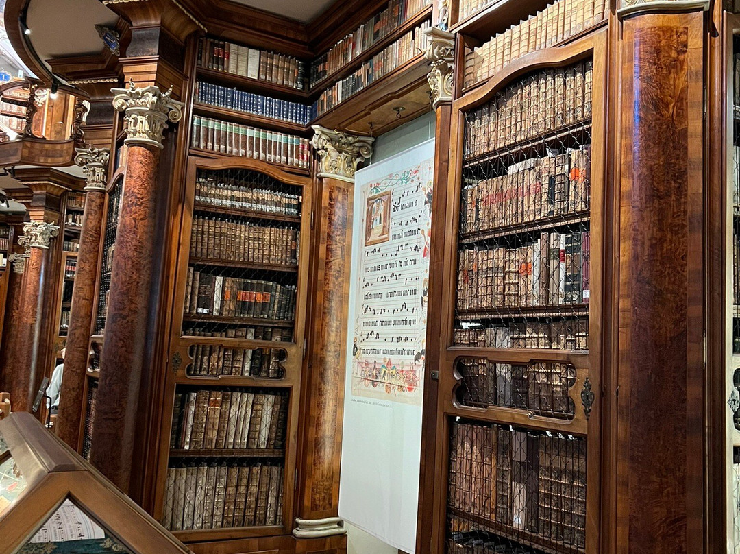 圣加仑修道院图书馆（Stiftsbibliothek）-圣加仑必去景点