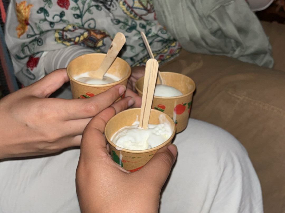 Sinai Vibes Tours And Excursions in Sharm El Sheikh-沙姆沙伊赫必去景点