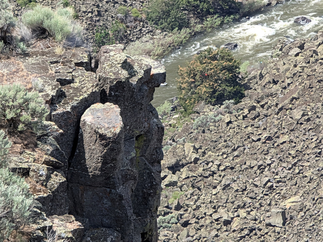 Bruneau Canyon景点图片