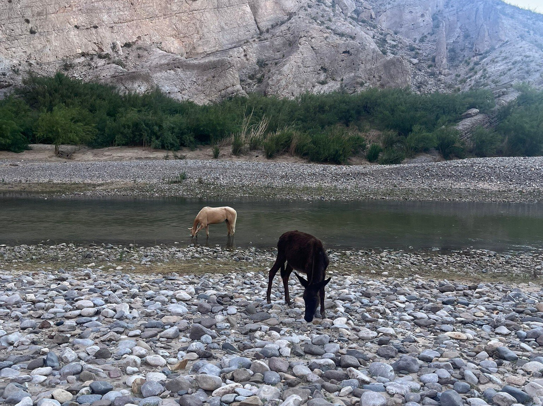 Terlingua Ghost Town-Terlingua必去景点