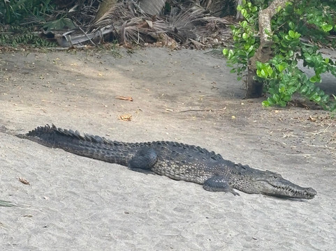 Viva Huatulco Tours-瓦图尔科必去景点