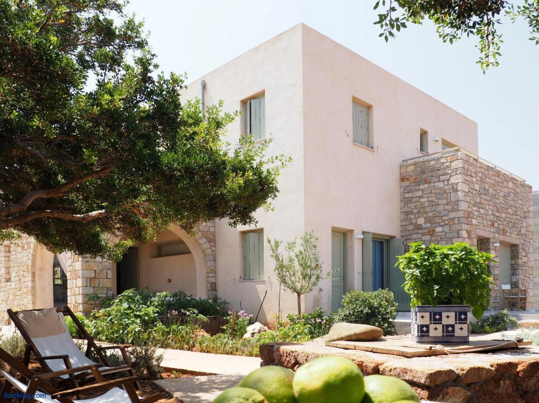 Skinammos Studios, Suites
