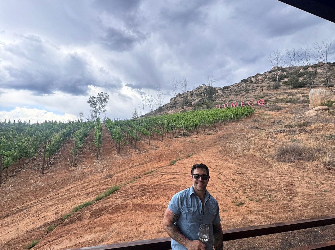 Bodegas Domecq景点图片
