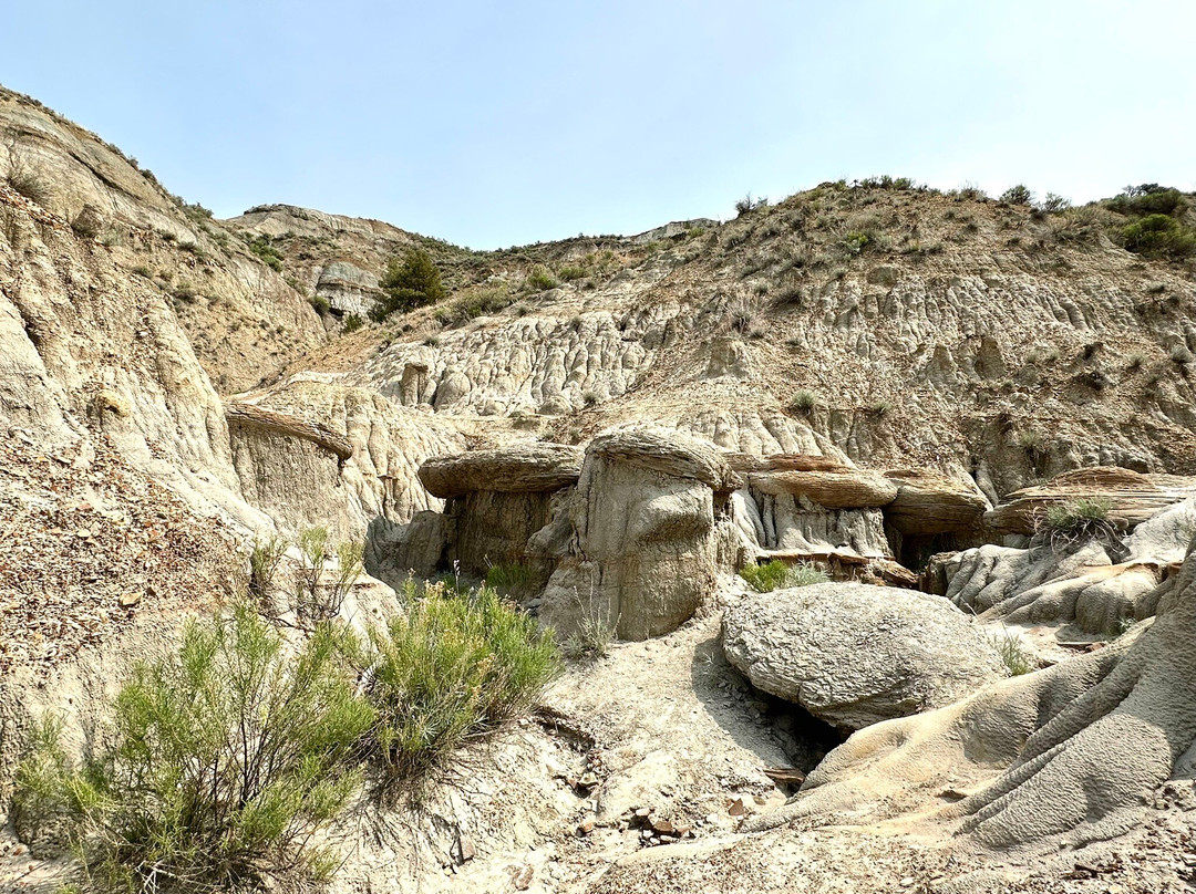 North Unit-Theodore Roosevelt National Park必去景点