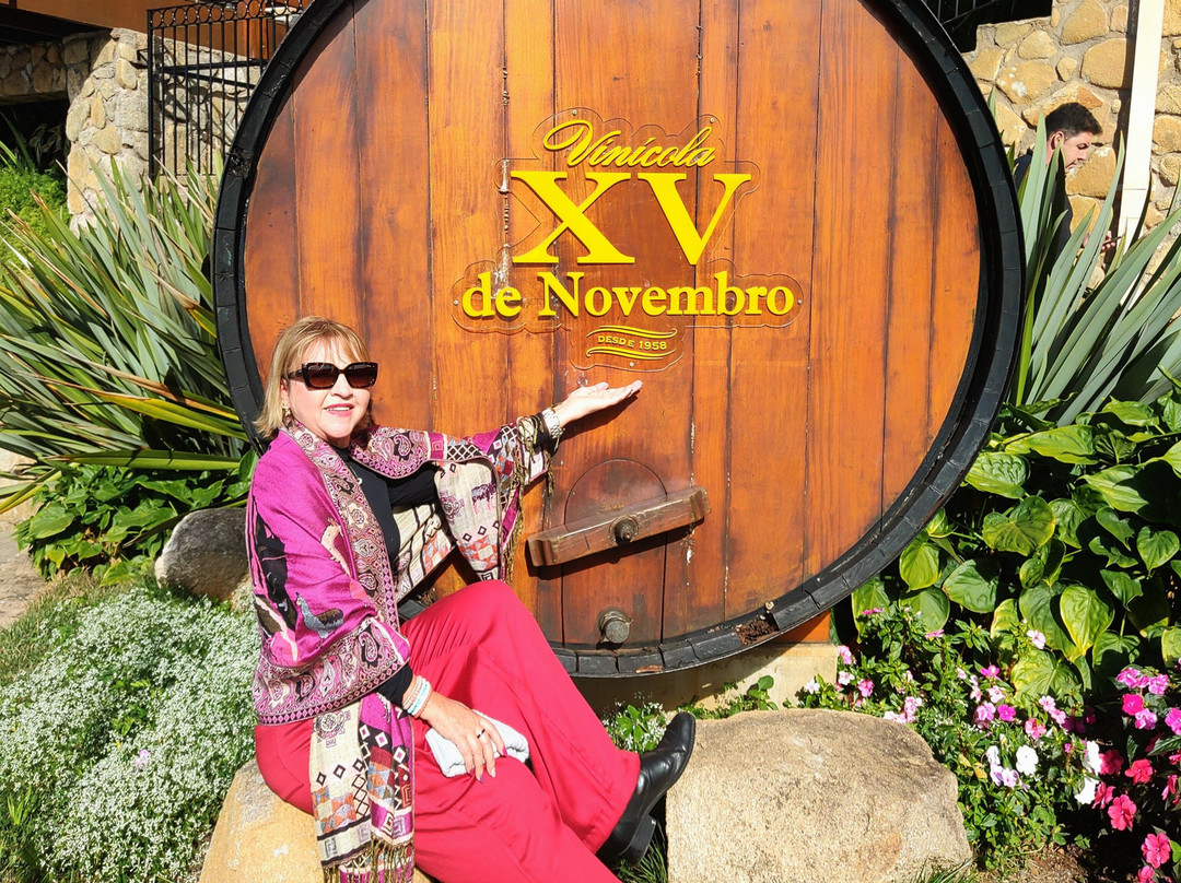 Vinícola XV de Novembro-Sao Roque必去景点
