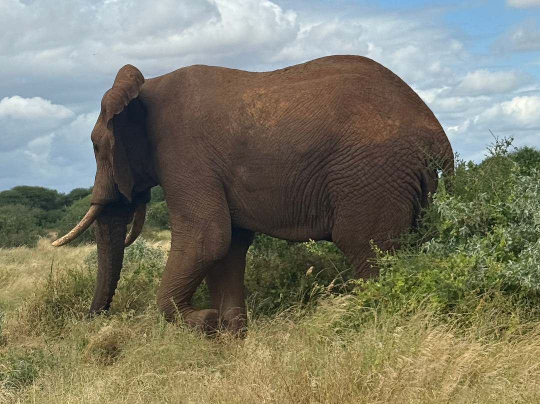 Royal Star Expeditions-内罗毕必去景点