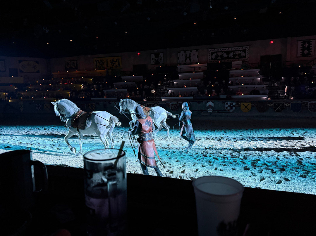 Medieval Times Maryland Castle-汉诺威必去景点