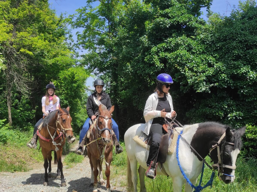 Occhio Con Occhio A.s.d.-Odalengo Grande必去景点