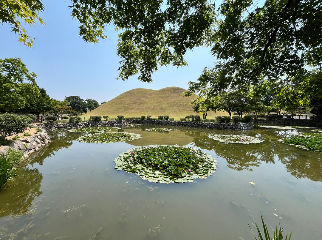 Daereungwon Tomb Complex-庆州市必去景点