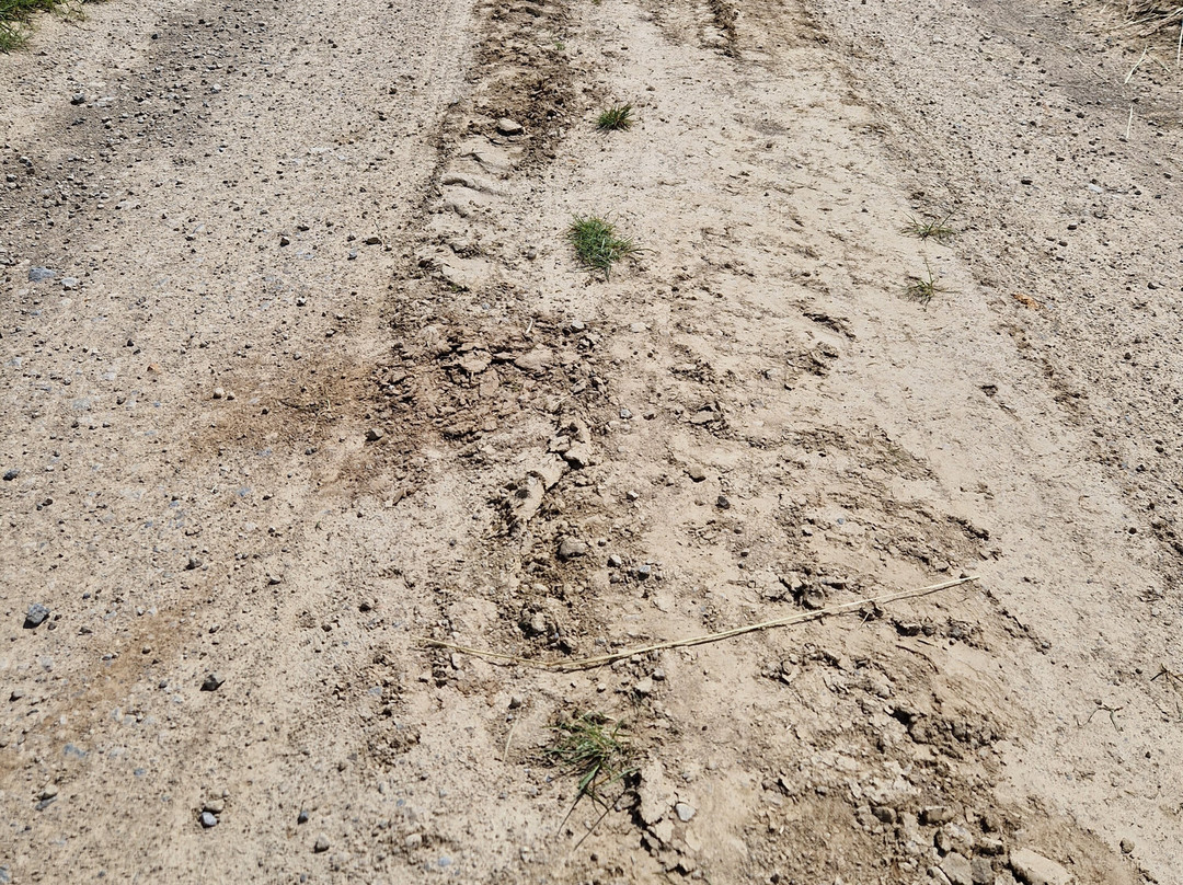 The Deister Roundabout-Bad Munder am Deister必去景点