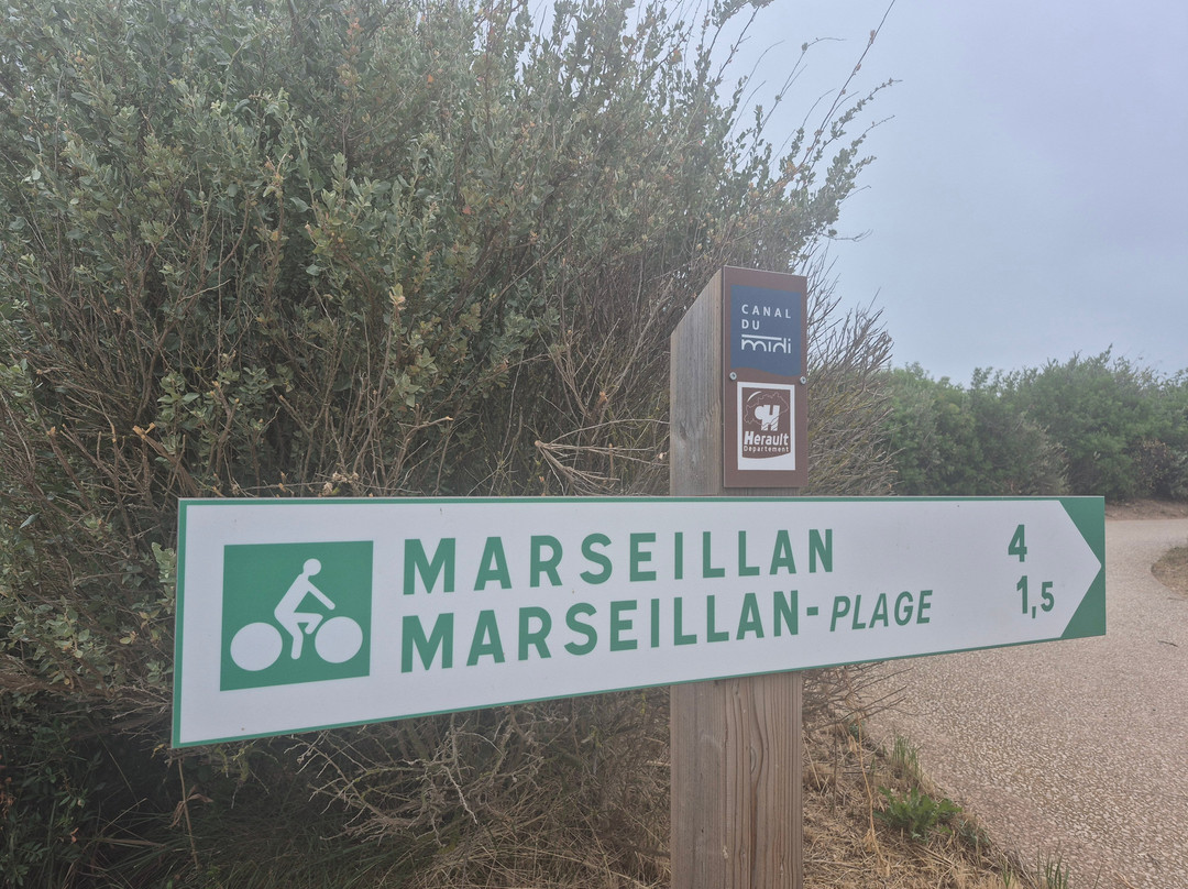Camping Marvilla Parks - Dunes Et Soleil主图