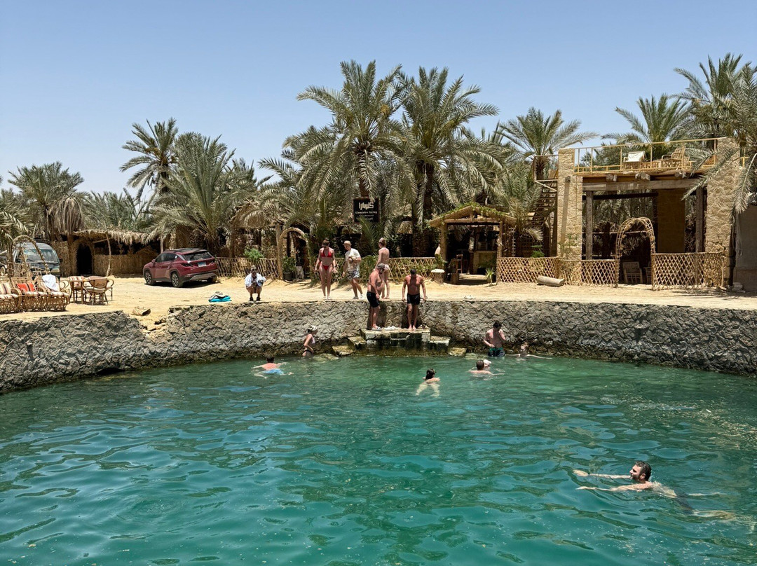 Cleopatra's Pool - Spring of Juba-西瓦必去景点