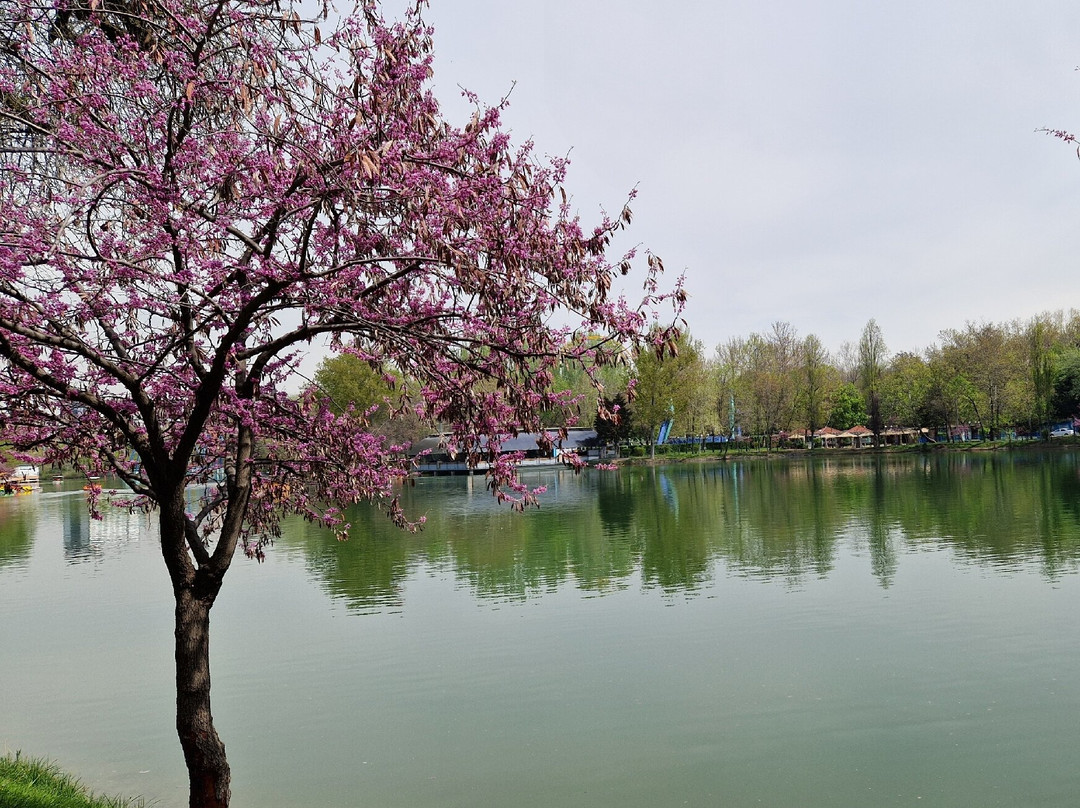 Japanese Garden-塔什干必去景点
