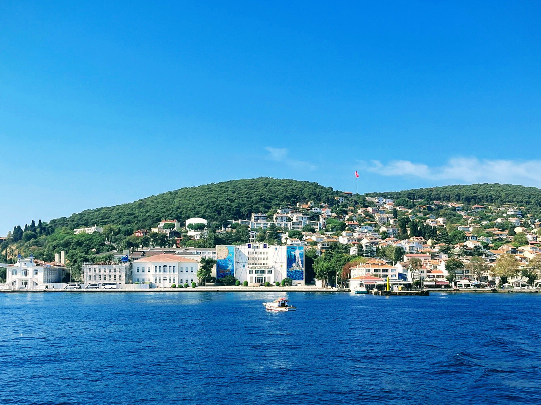Princes' Islands Tour景点图片