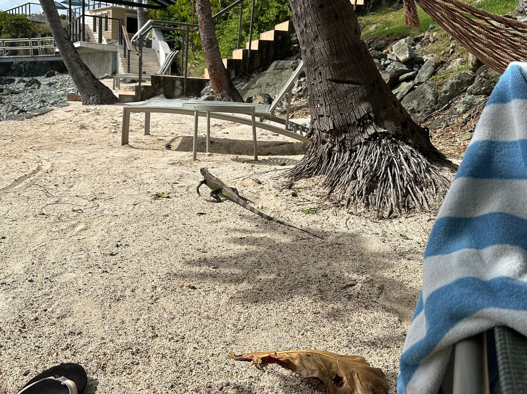 Gallows Point Resort主图