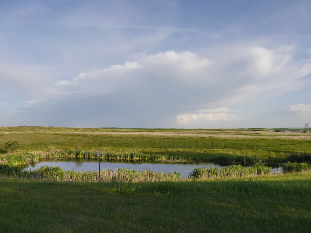 Super 8 by Wyndham High River AB主图