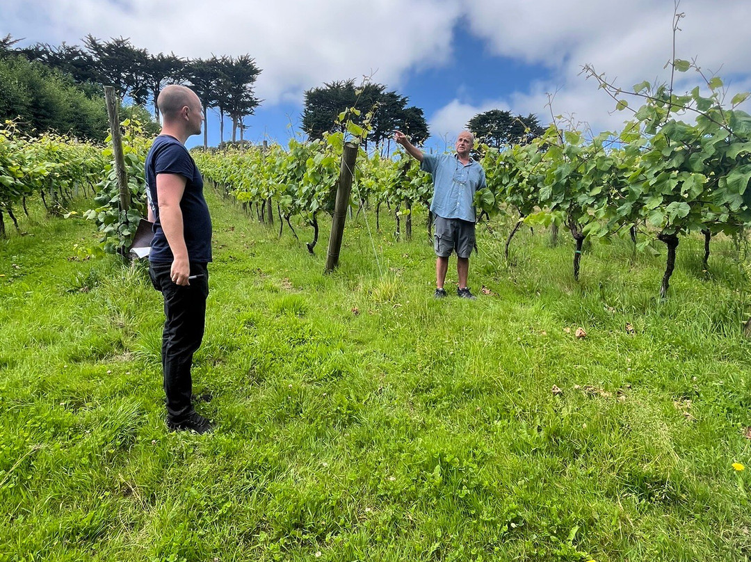 Polgoon Vineyard-彭赞斯必去景点