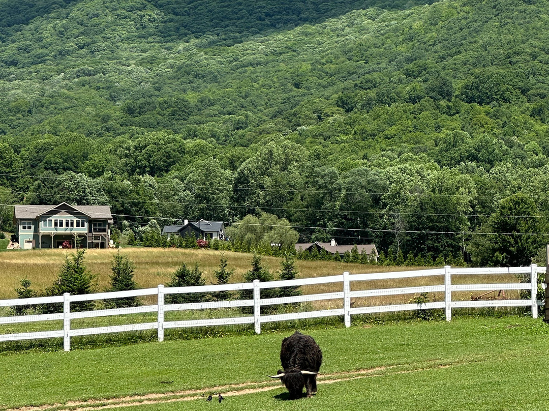 Winchester Creek Farm景点图片