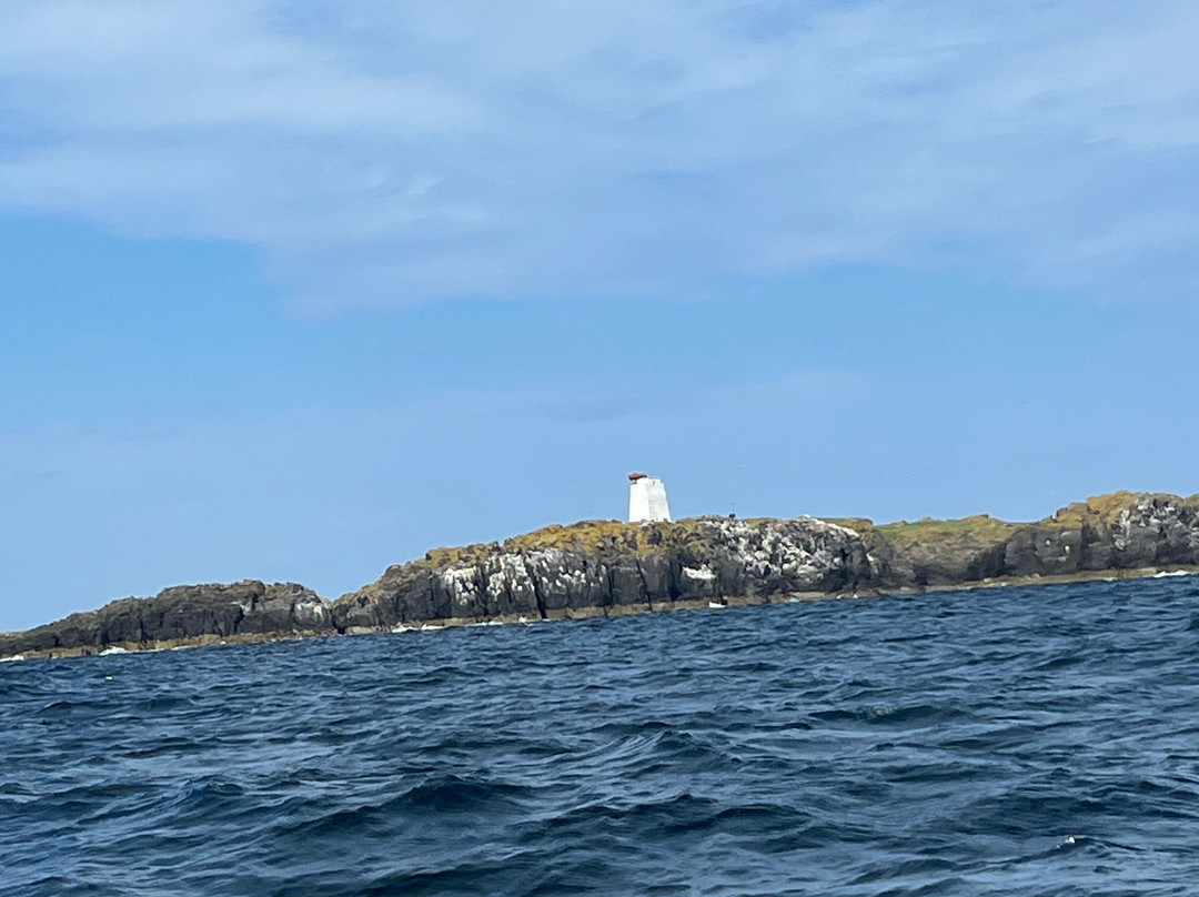 Anstruther Pleasure Cruises-Boat Day Tours-Anstruther必去景点