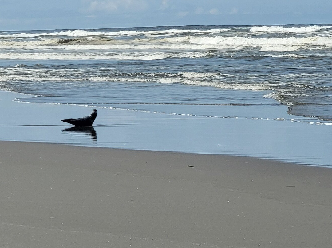 Chautauqua Resort & Conference Center主图