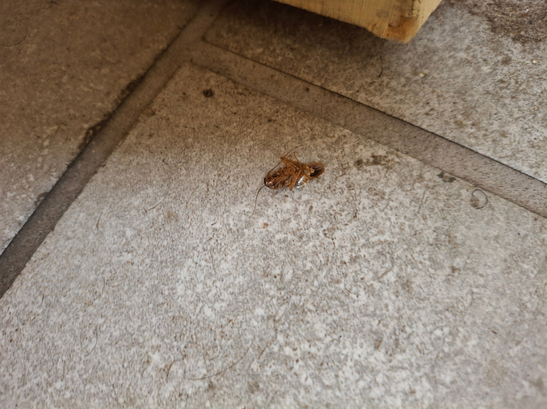 佛罗伦斯戴斯酒店主图