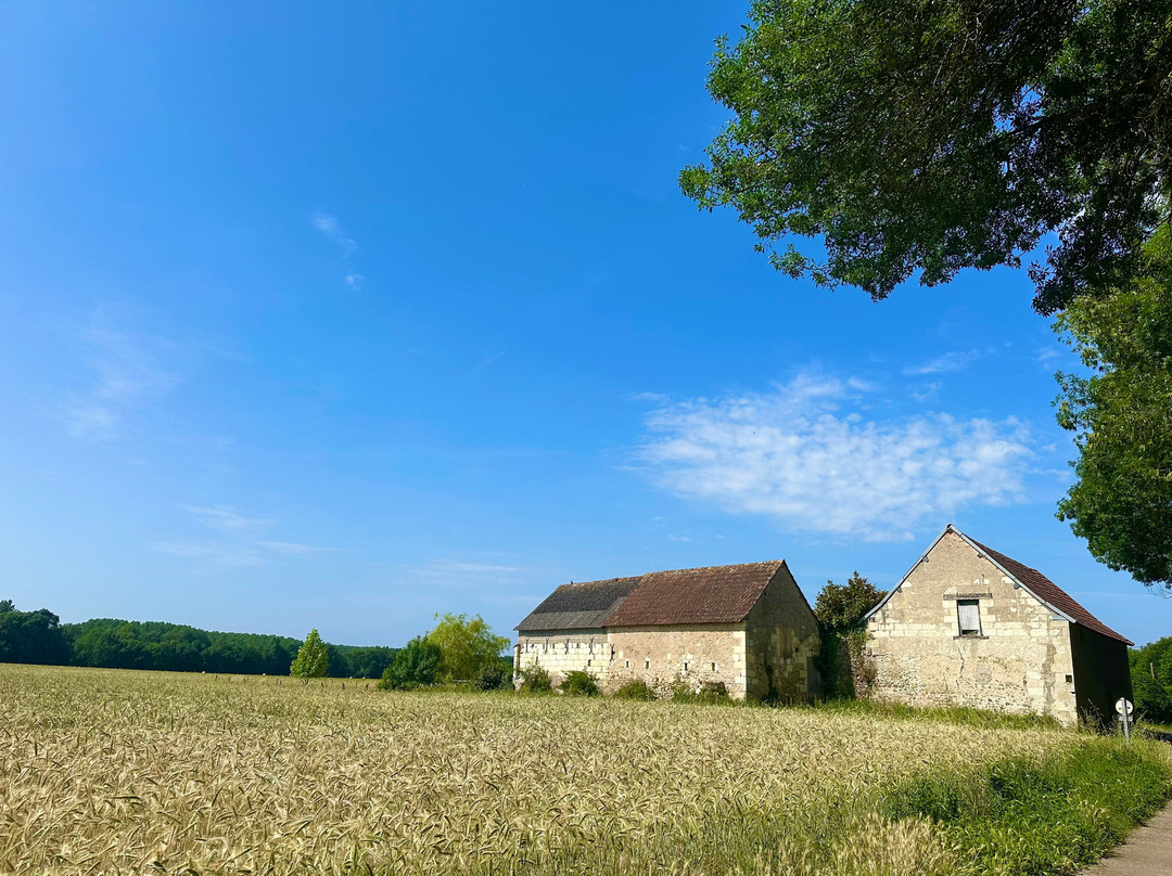 Detours in France-博讷必去景点