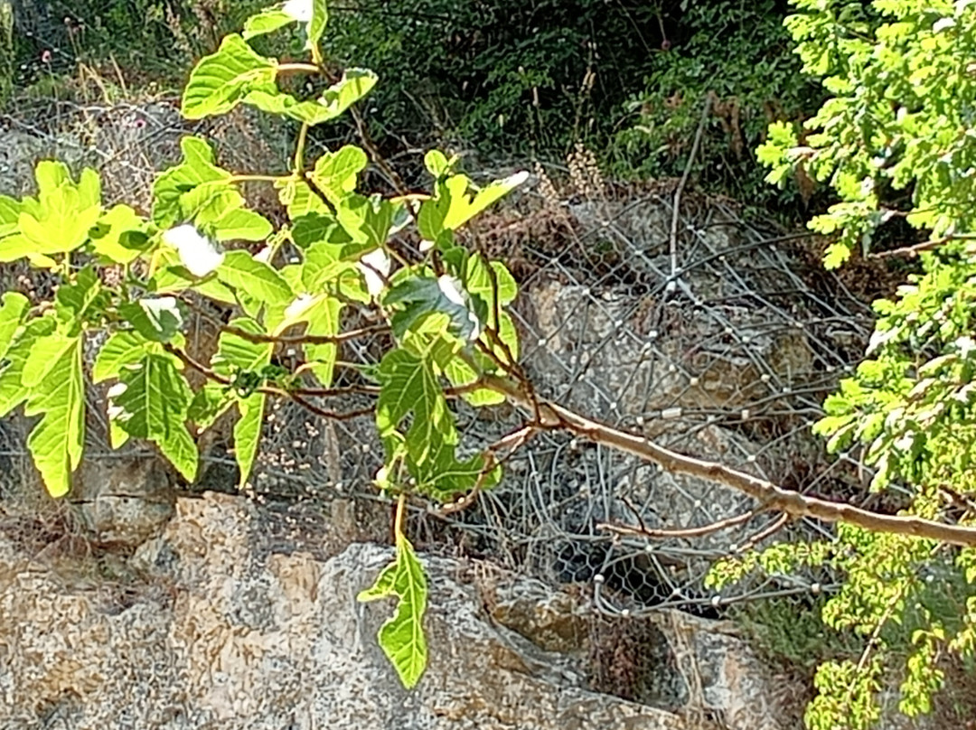 Orto Del Miracolo-Roccaporena必去景点