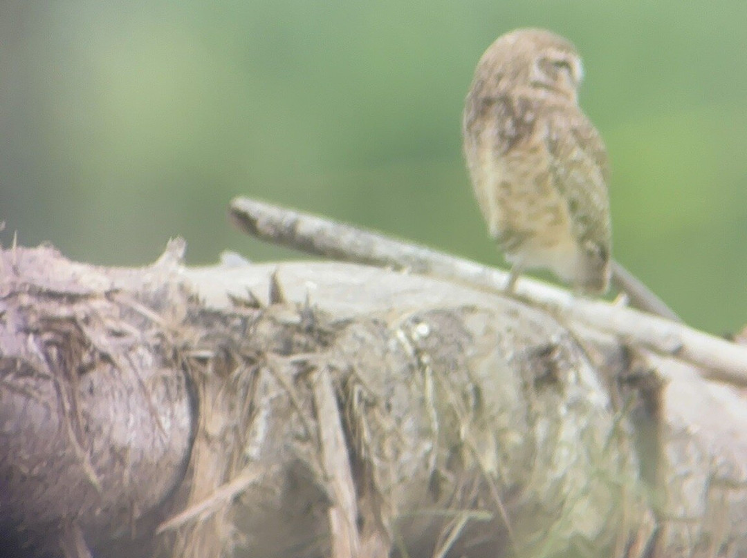 EXPEDICIONES VILCA-Manu必去景点