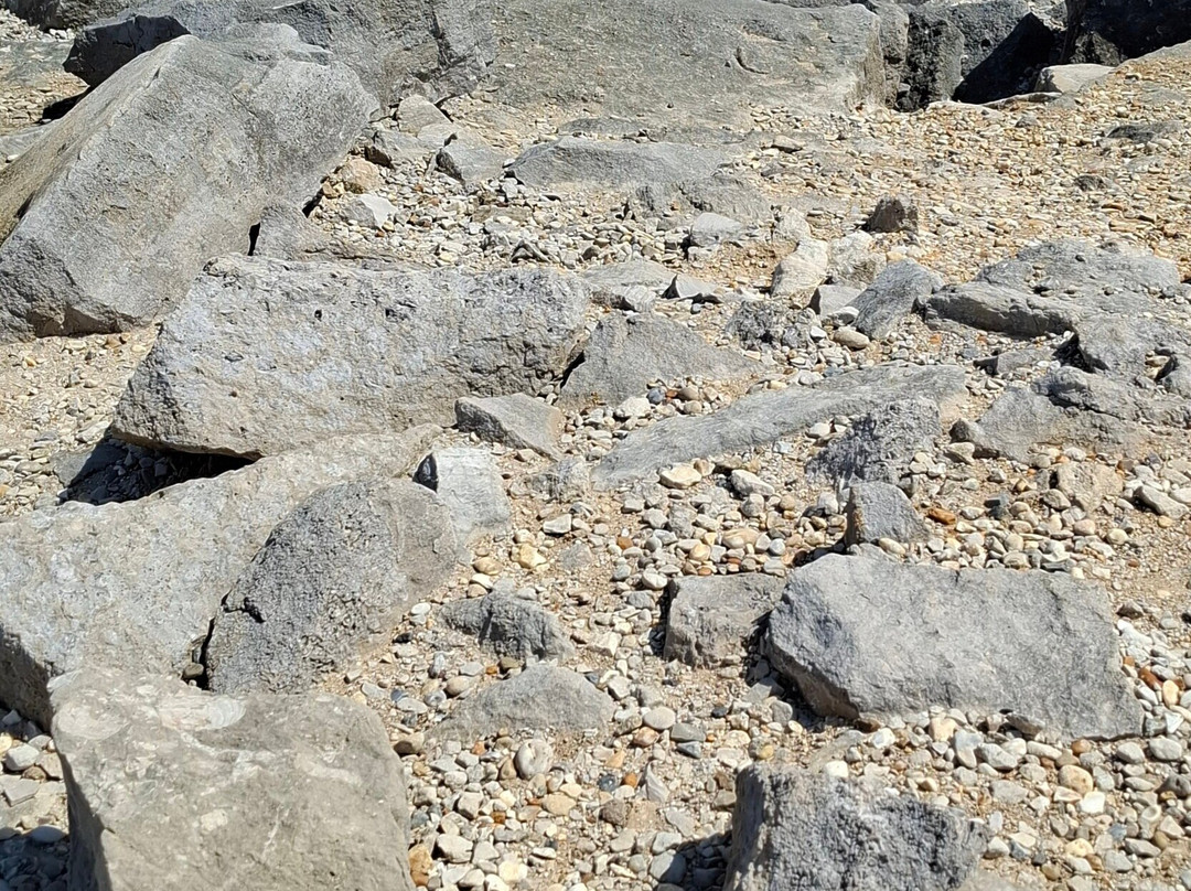 Portland Bill-Isle of Portland必去景点