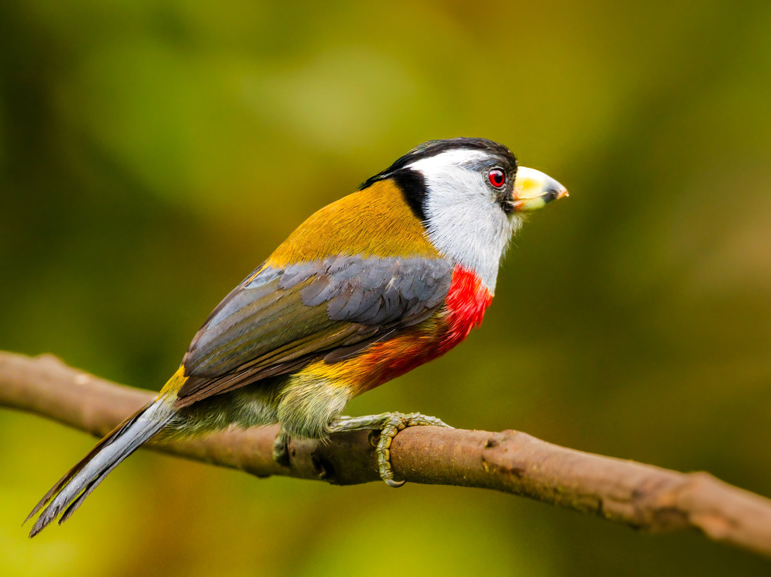 San Jorge Eco-lodges & Private Reserves in Ecuador-基多必去景点