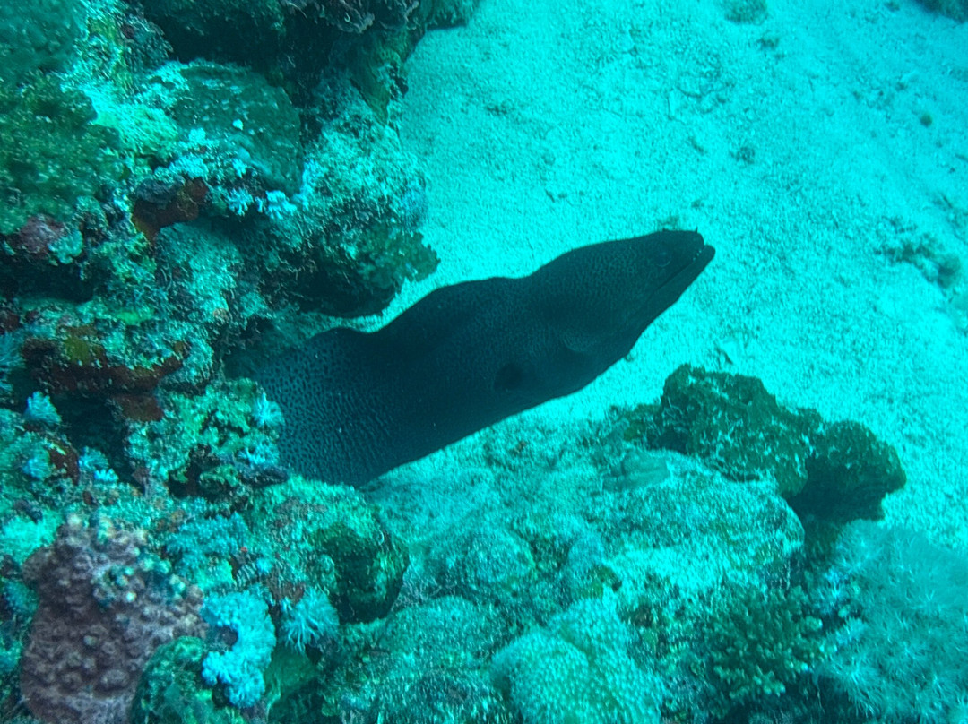 Deep Penetration Diving-Alsancak - Karavas必去景点