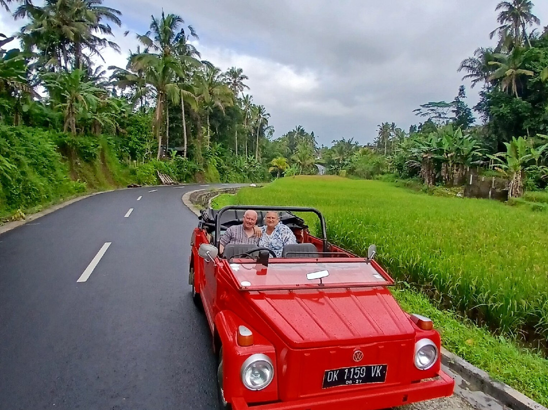 Bali With a Local Tour-佩艳艮必去景点