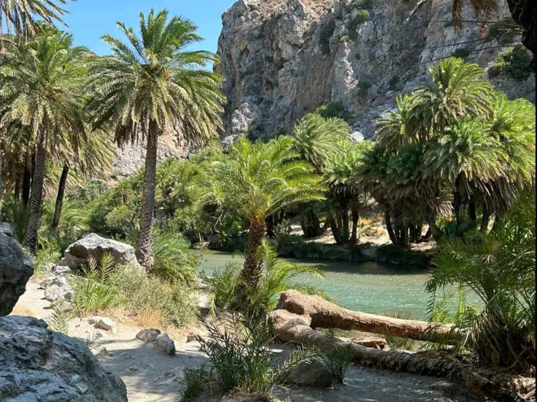 Check In Creta  Travel Services-雷斯蒙必去景点