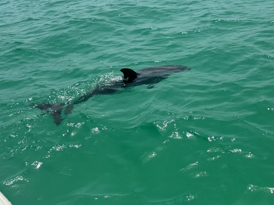 Tyman Fishing Charters-Spanish Wells必去景点