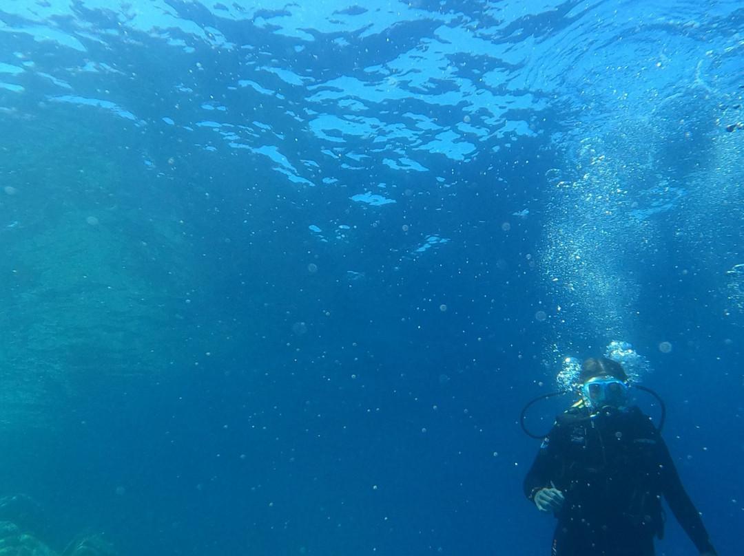 mandel Diving Center-Capoliveri必去景点