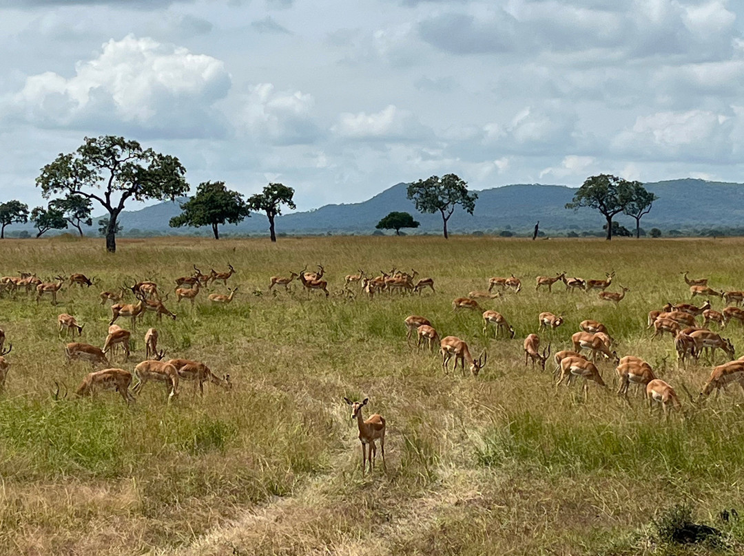 Kasaka Tours-Dar es Salaam必去景点