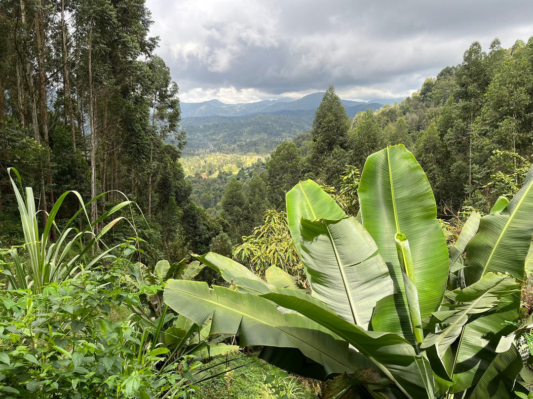 Kwamongo Expeditions-坦噶必去景点