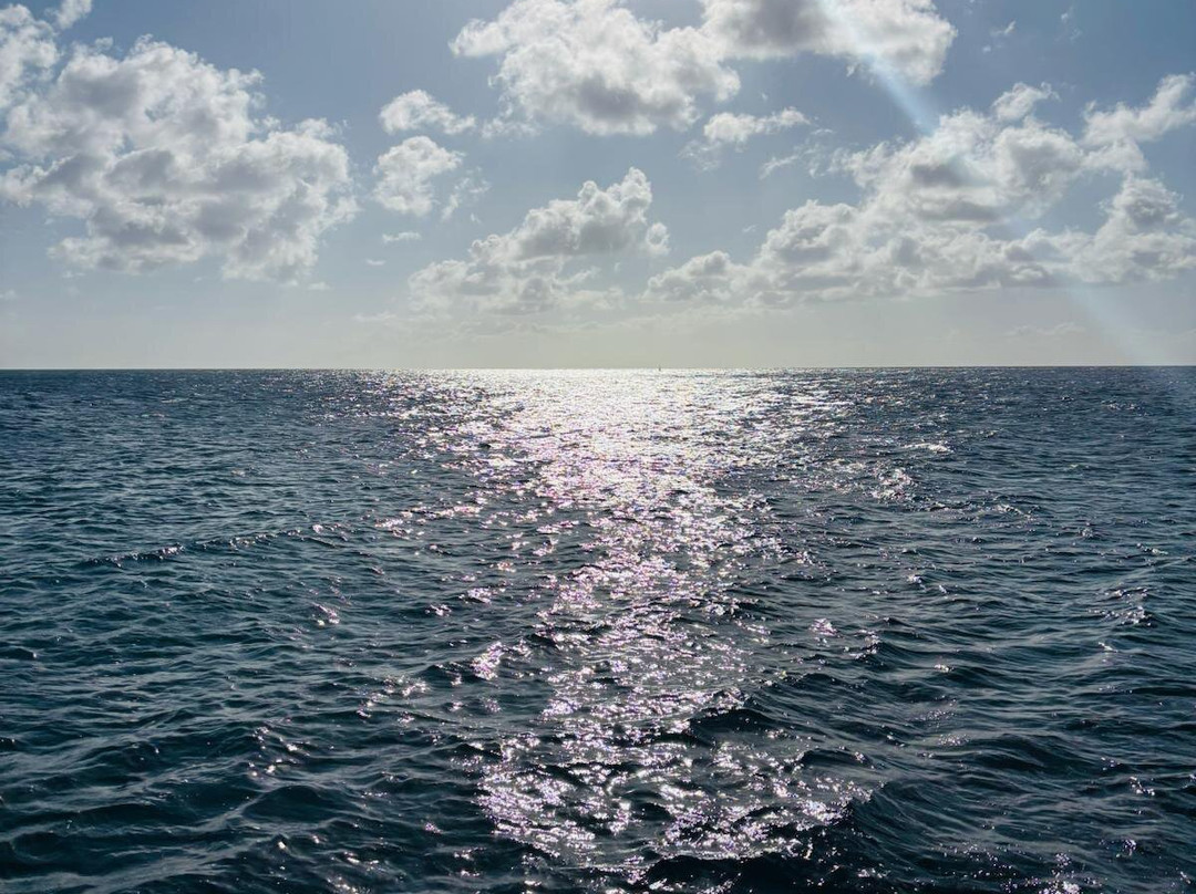 Pyratz, Gourmet Sailing-辛普森湾必去景点