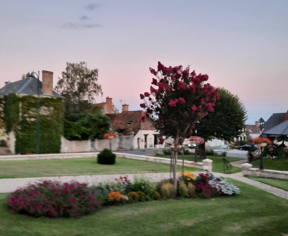 Auberge du Grand Dauphin主图