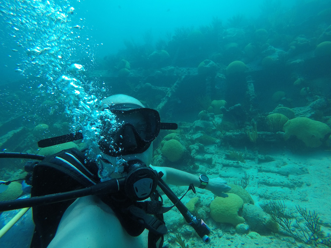 Blue Water Divers & Watersports-Sandys Parish必去景点