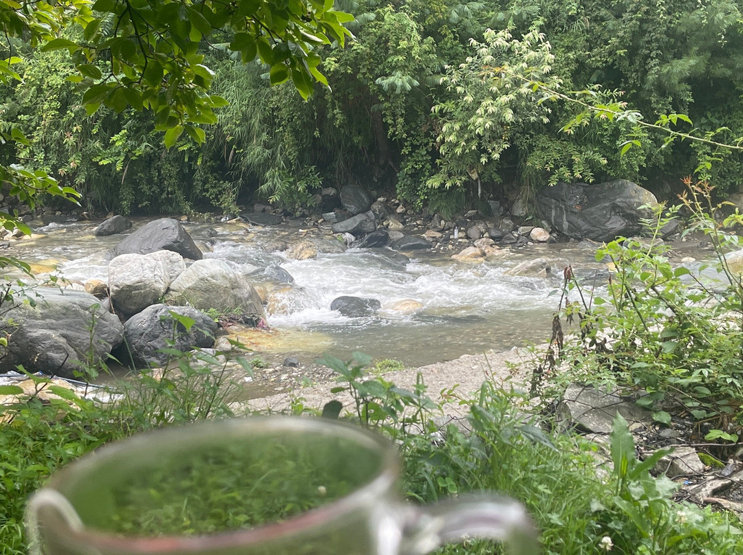 River View Homestay主图