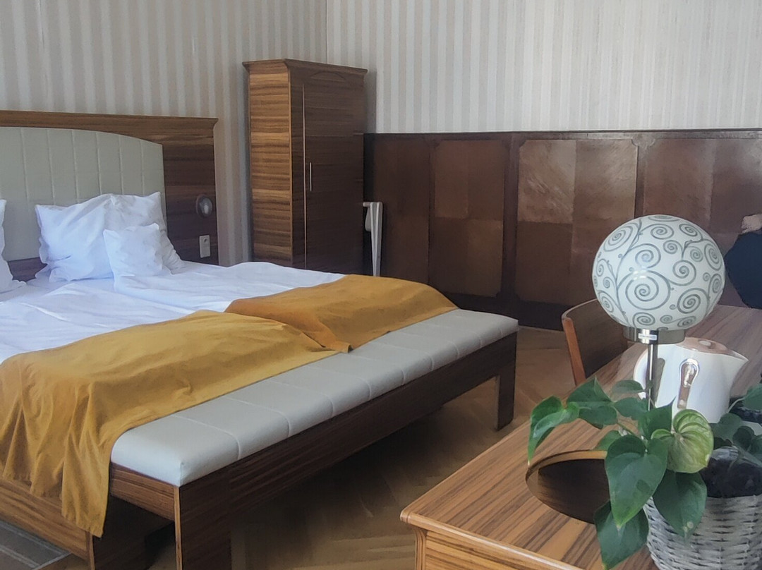 Hotel Okresni Dum主图