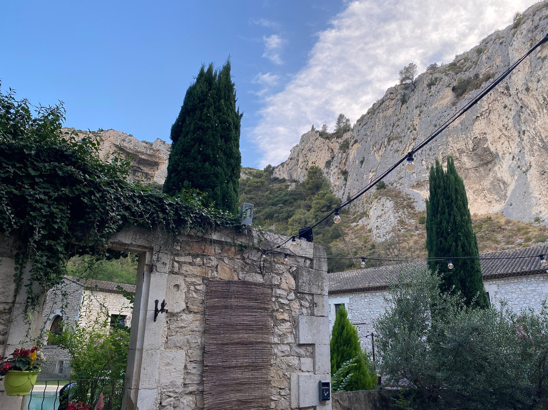 L'Auberge du Parc主图