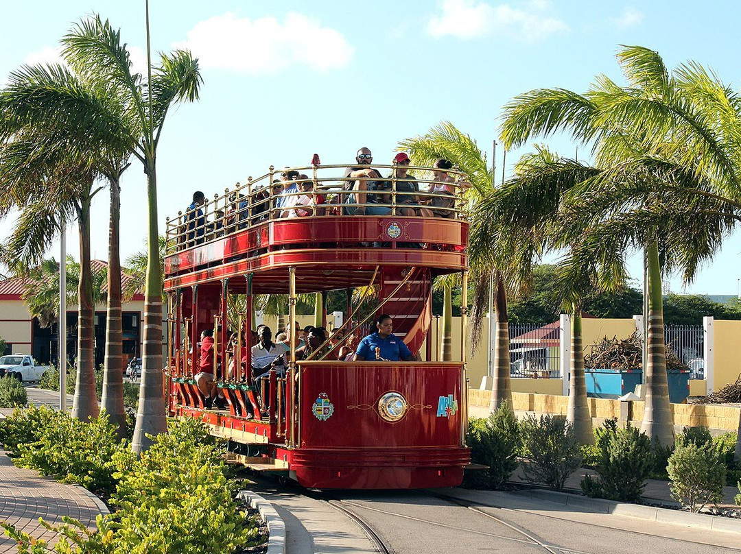 Aruba Streetcar-奥腊涅斯塔德必去景点