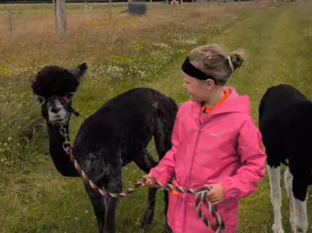 Invercannich Farm-Cannich必去景点